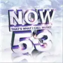 Various: Now That's What I Call Music! 53