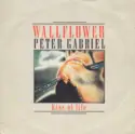 Peter Gabriel: Wallflower