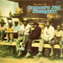 Cannon's Jug Stompers: The Best Of Cannon's Jug Stompers