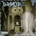 Darkside [10]: Shadowfields