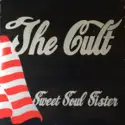 The Cult: Sweet Soul Sister