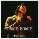 David Bowie: VH1 Storytellers