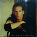 Michael Bolton: Time, Love & Tenderness