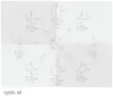 Cyclo.: Id