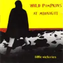 Wild Pumpkins At Midnight: Little Victories