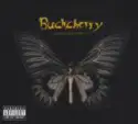 Buckcherry: Black Butterfly