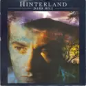Hinterland [2]: Dark Hill