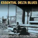 Various: Essential Delta Blues