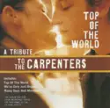 The Taliesin Orchestra: Top Of The World - A Tribute To The Carpenters