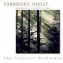 The Taliesin Orchestra: Forbidden Forest (Impressions Of George Winston)