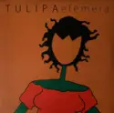 Tulipa Ruiz: Efêmera