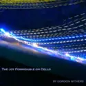 Gordon Withers: The Joy Formidable On Cello