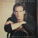 Michael Bolton: Time, Love And Tenderness
