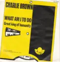 Charlie Brown [30]: What Am I To Do