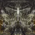 Architects [2]: Ruin