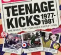 Various: Teenage Kicks 1977-1981 - The Music That Changed Everything