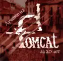 Tom Cat [6]: Лучшее из Tomcat за 20 лет