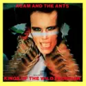 Adam And The Ants: Kings Of The Wild Frontier