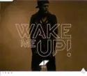 Avicii: Wake Me Up