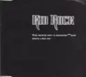 Kid Rock: You Never Met A Motherf*** Quite Like Me