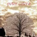 Peter Cetera: Another Perfect World