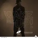 Avicii: Wake Me Up - Remixes