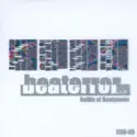 Various: Beaterror -ReMix Of Beatmania-