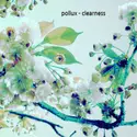 Pollux [6]: Clearness