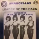 The Shangri-Las: Leader Of The Pack / Remember (Walking In The Sand)