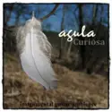 Agula: Curiosa