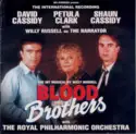 Various With Royal Philharmonic Orchestra: Blood Brothers: The International Cast Recording