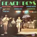 The Beach Boys: Beach Boys