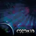 Exemia: The Synesthethic Experience