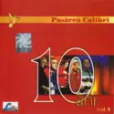 Pasărea Colibri: 10 Ani Volumul 1