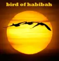 Bird Of Habibah: Bird Of Habibah 3