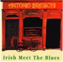 Antonio Breschi: Irish Meet The Blues