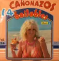 Various: 14 Cañonazos Bailables Vol. 24