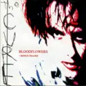 The Cure: Bloodflowers + Bonus Tracks
