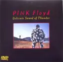 Pink Floyd: Delicate Sound Of Thunder