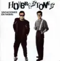 Hombrestones: Vacaciones En Hawai