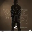 Avicii: Wake Me Up - Remixes