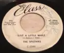 The Sputniks [2]: Wait A Little While / Johnny's Little Lamb