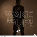 Avicii: Wake Me Up (Remixes)