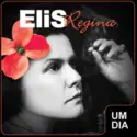 Elis Regina: Um Dia