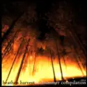 Various: Heathen Harvest Midsummer Compilation