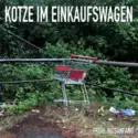 Kotze Im Einkaufswagen: Frühlingsanfang (Version)