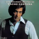 Cacho Castaña: Los Grandes Exitos De Cacho Castaña