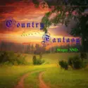 Sergey Nsd: Country Fantasy
