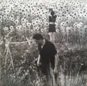 Jesu / Sun Kil Moon: Jesu / Sun Kil Moon