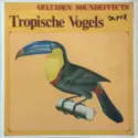 No Artist: Tropische Vogels